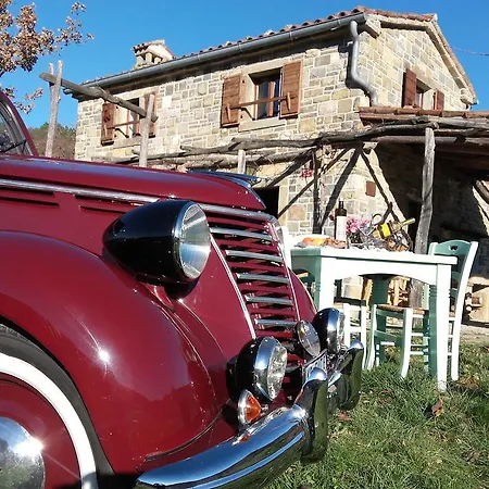 Istra Autentica *