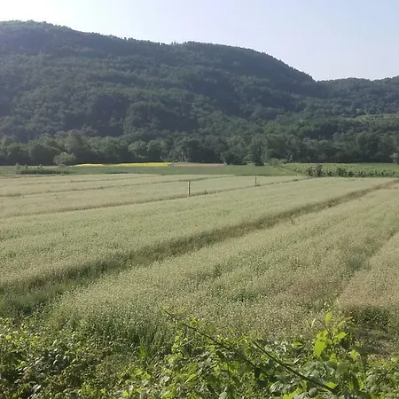 Istra Autentica Nyaraló