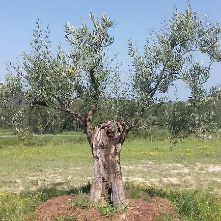 度假居 Istra Autentica Krkavce