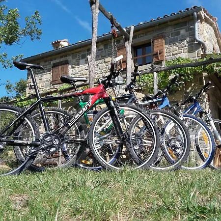 Nyaraló Istra Autentica *