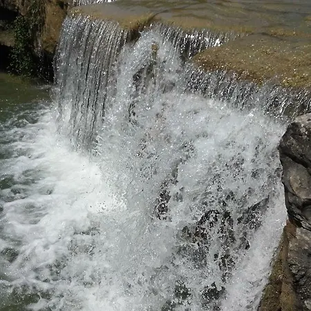 Istra Autentica Krkavče