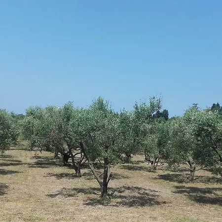 Istra Autentica Nyaraló Krkavče