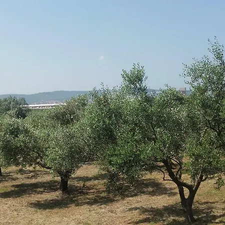 Istra Autentica * Krkavče