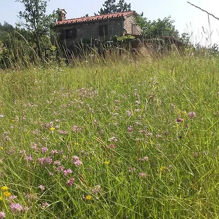 Istra Autentica 度假居 Krkavce